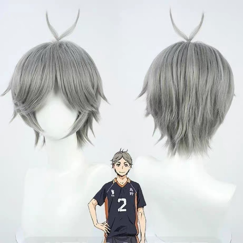 Wig Fiber Net - HAIRJOY 合成ヘアウィッグ ハイキュー!! 菅原将志 コスプレウィッグ ショートカーリーグレー