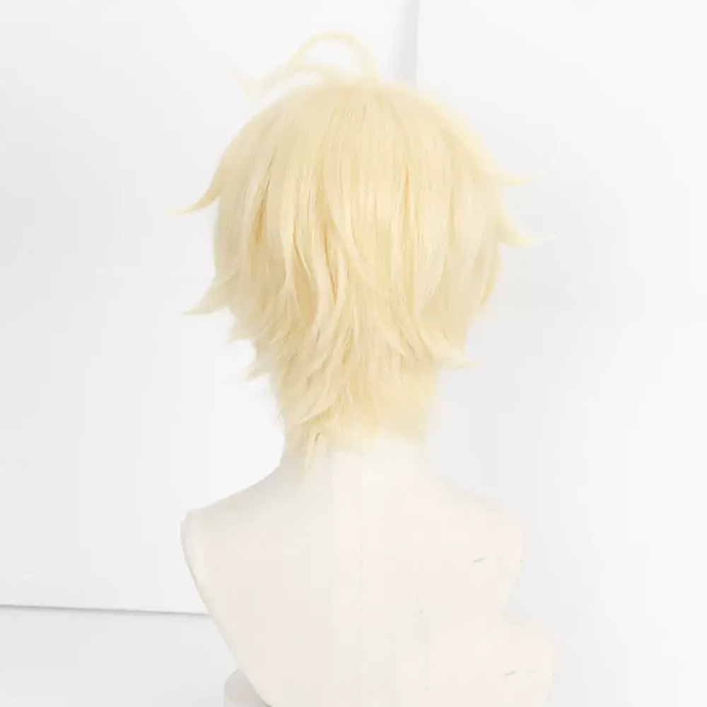 HAIRJOY 合成毛 セラフ・オブ・ザ・エンド ミカエラ・ - Wig Fiber Net のレビューと価格